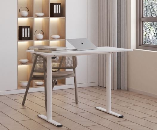 Flexispot Sit Stand Desk QE1 W120XD60CM QE1WM